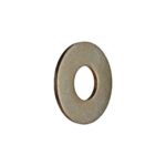 Hardened Washer