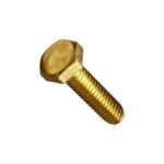 Brass Bolt