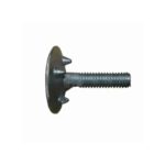 Euro / Elevator Bolt