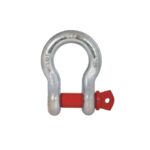 Bow Shackle