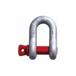 Dee Shackle US Type - Image 4