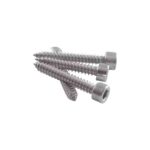 Cap Allen Self Tapping Screw