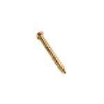 Window Concrete Screw