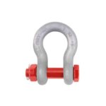 Dee Shackle US Type - Image 3