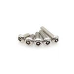 Anti Theft Safety Screw - Image 3