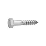Coach Screw