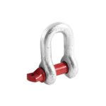 Dee Shackle US Type - Image 2