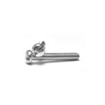 Anti Theft Safety Screw