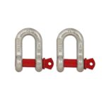 Dee Shackle US Type